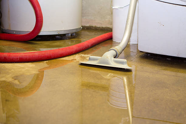  Chino, CA Water damage restoration Pros