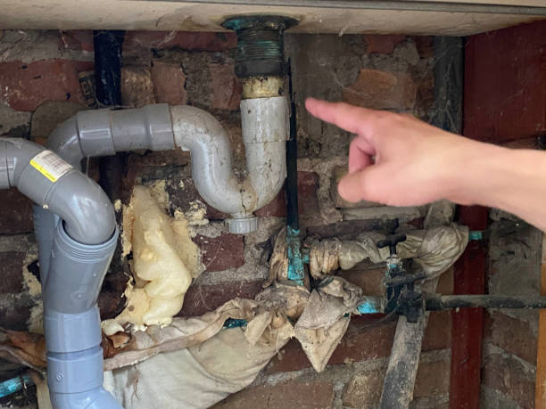 Best Water damage cleanup near me  in Chino, CA